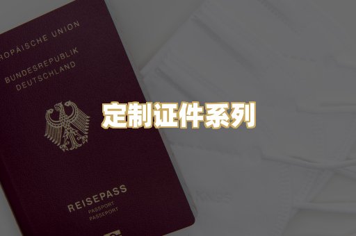 定制证件系列